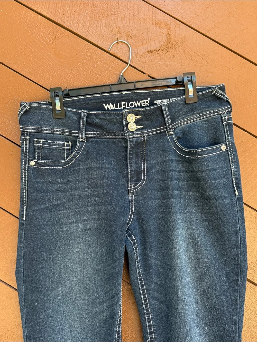 Wallflower dark blue